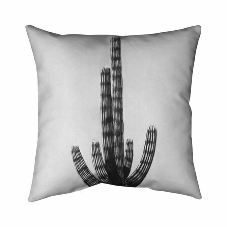 FONDO 26 x 26 in. Cactus-Double Sided Print Indoor Pillow FO2792919